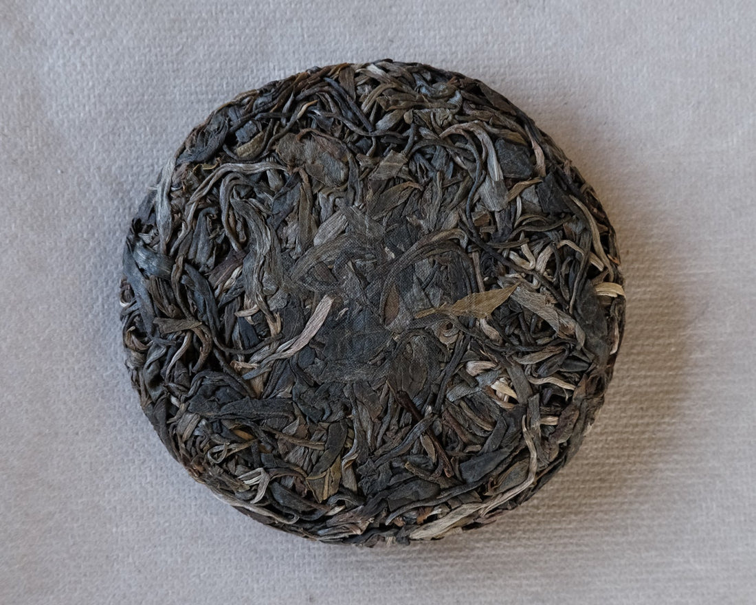 Leaves detail of Nannuo Pu'er shengpu tea Chinese pressed cake brick vintage and aged, 2020 spring harvest, forest tea, from Yunnan