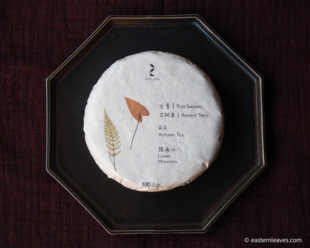 2021 Autumn Harvest Lunan Shengpu, Ancient Trees Stone-pressed cake - Eastern Leaves