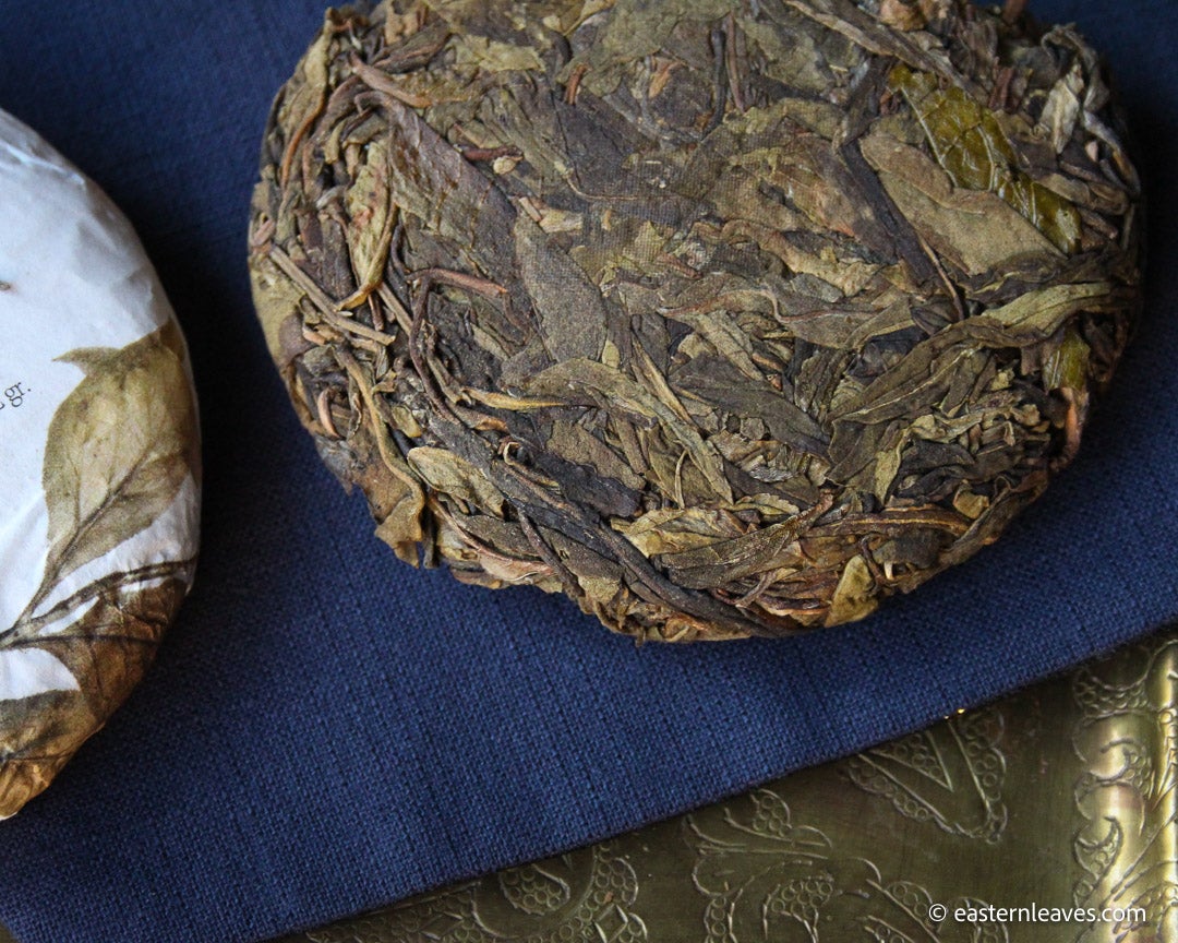 Pu'er shengpu from ancient trees gushu, laoyezi or huangpian, in pressed cake from Lunan and Pasha mountain, Yunnan, China