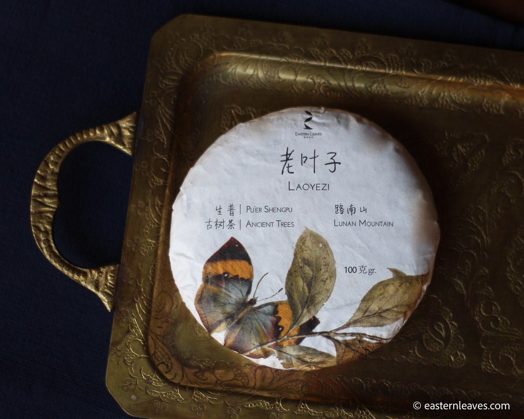 Pu'er shengpu from ancient trees gushu, laoyezi huangpian, in pressed cake from Lunan and Pasha mountain, Yunnan, China