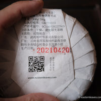 Pu'er shengpu ancient trees gushu in pressed cake, from Yunnan, China. 2021 spring tea