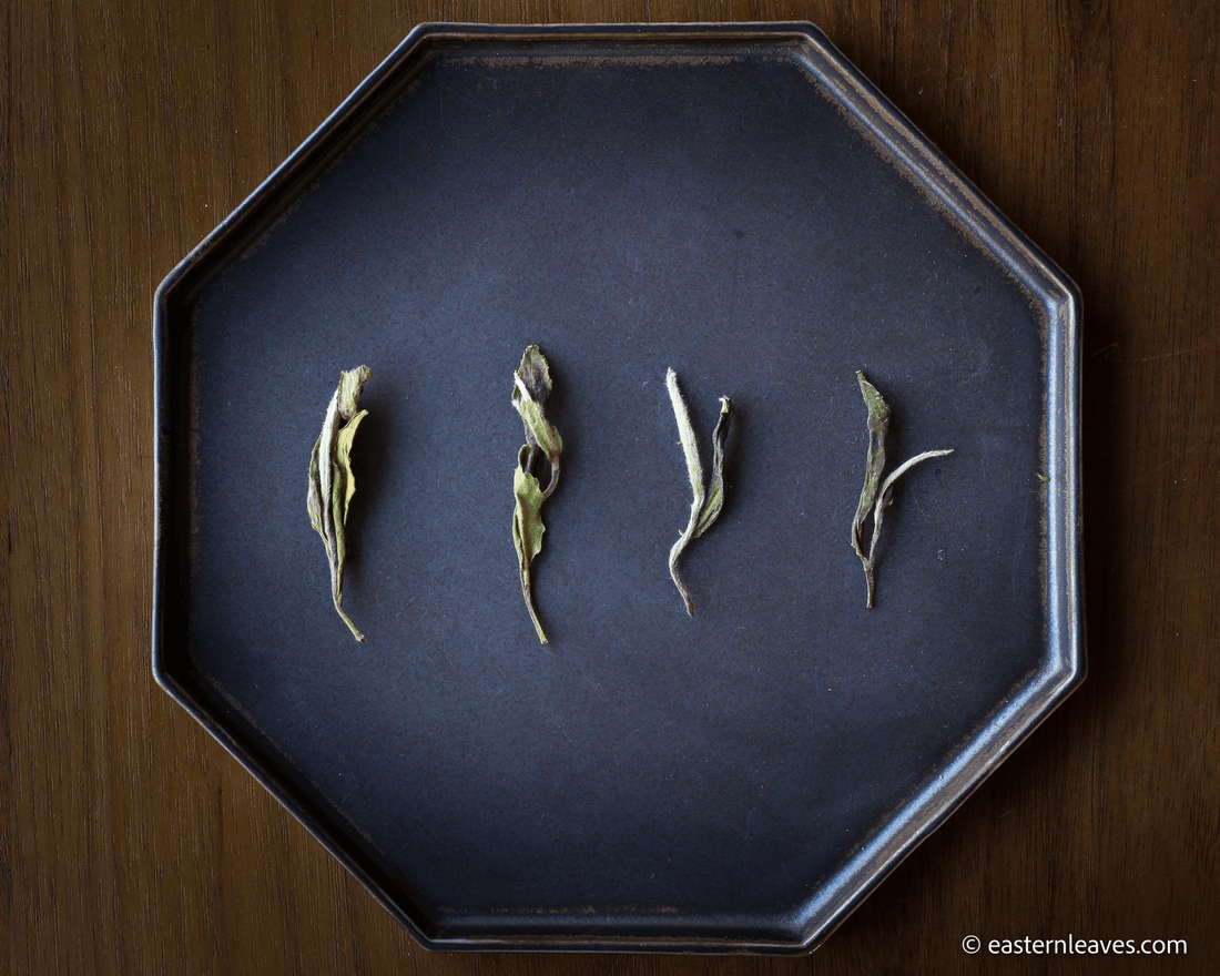 Bai Mudan - White Peony Tea - Eastern Leaves