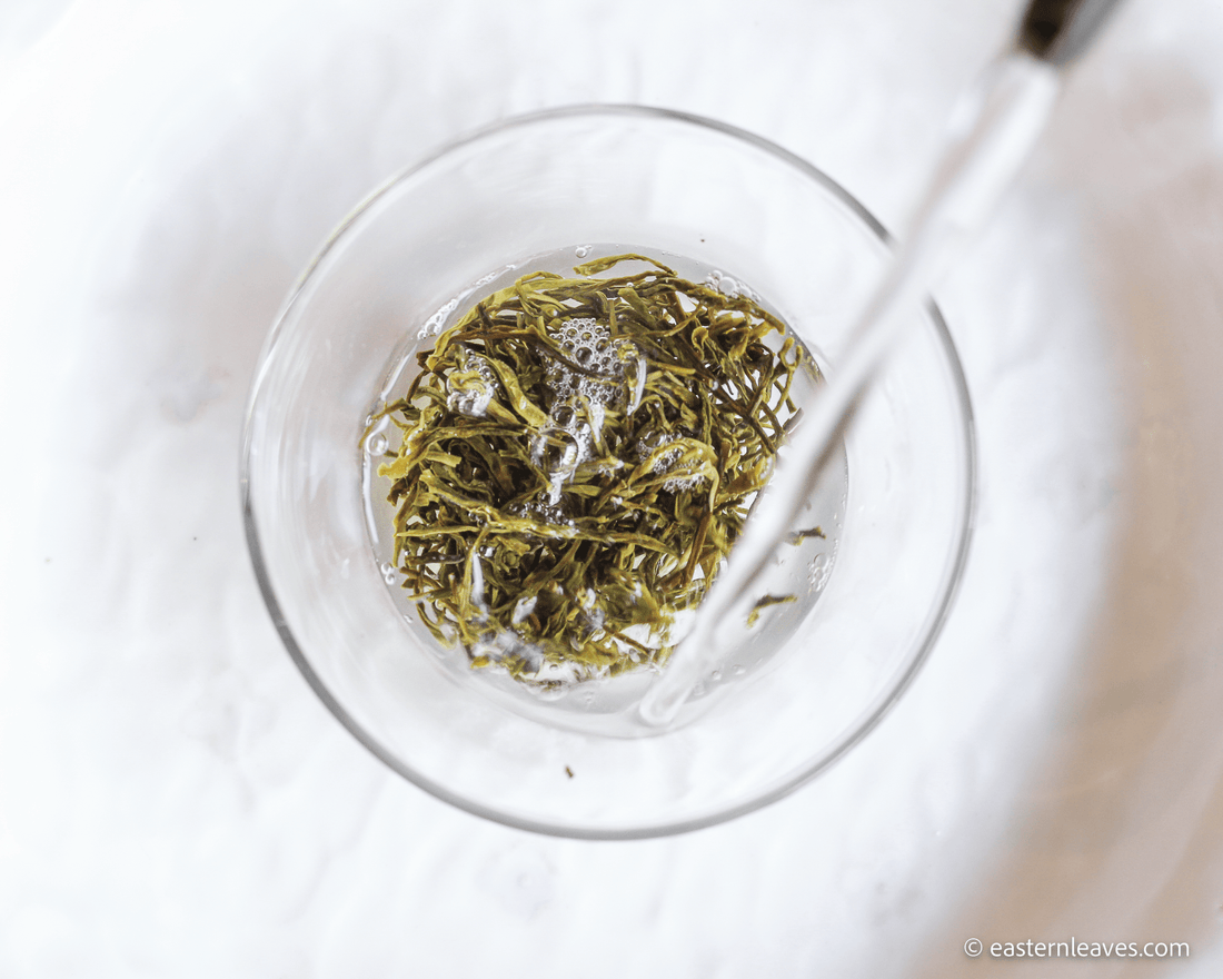 2022 Bug-bitten Huangdacha 虫咬黄大茶 - Yellow Tea - Eastern Leaves