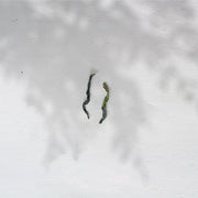 2022 Lu'an Guapian 六安瓜片 - Melon Seed - Eastern Leaves