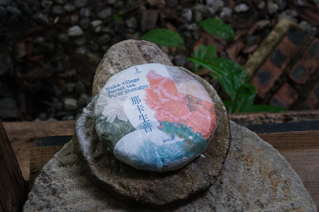 forest pu'er tea from Naka village, Yunnan, China, stone-pressed for collection, shengpu 
