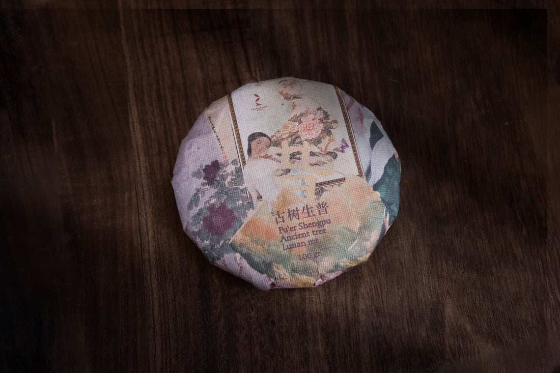 2023 Pu'er Shengpu, Ancient Trees Stone-pressed cake - Eastern Leaves, Yunnan, premium, handcrafted, farmer