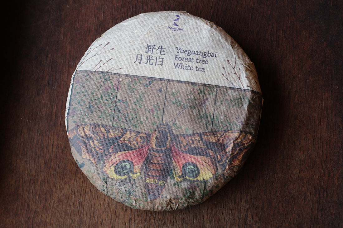 2023 Nannuo Yueguangbai White Tea from Wild Forest, stone-pressed cake - Eastern Leaves