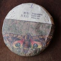 2023 Nannuo Yueguangbai White Tea from Wild Forest, stone-pressed cake - Eastern Leaves