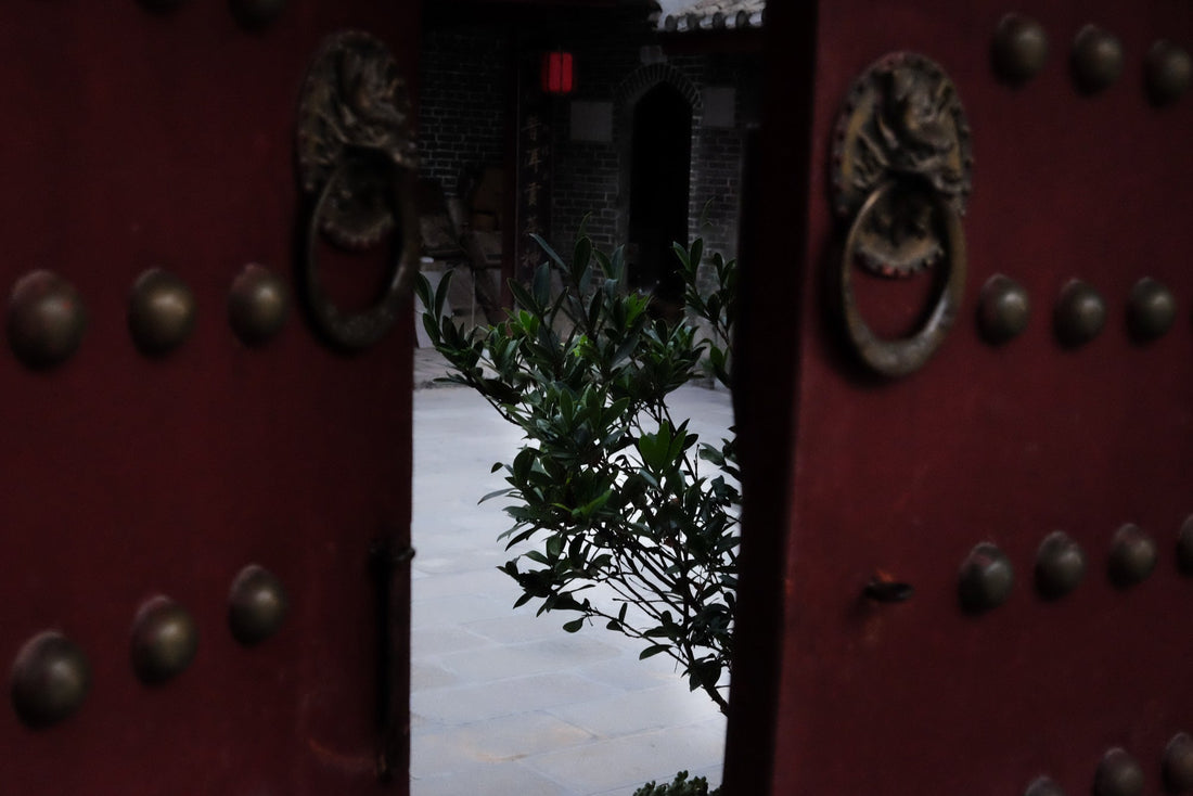 Eastern Tea Club, Chapter 2: Yìwǔ 易武 - Eastern Leaves