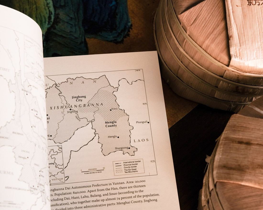 pure tea book "ancient caravan and urban chic", by Zhang Jinghong, tea book, pu'er area map with bamboo tong